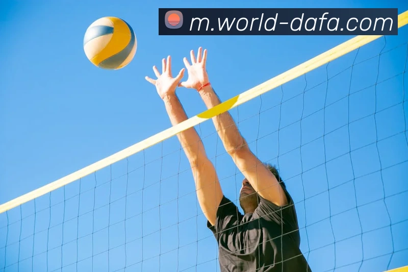 大发彩票平台生态图